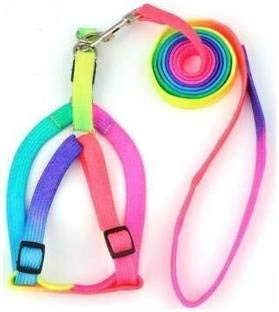 Dog Lover Rainbow Color Puppy Harness & Leash Set Small Dog Harness Leash (Harness + Leash) (B09SDX1981) Amazon Price History, Amazon Price Tracker