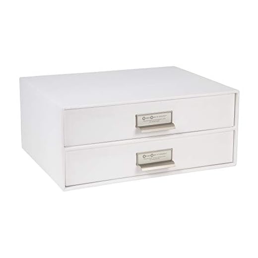 Bigso Box of Sweden Mini cassettiera da scrivania per documenti e materiale da ufficio – Organizer scrivania con 2 cassetti – Scatola con cassetti in fibra di legno e carta – bianco