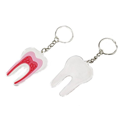 Earlywish Lot de 10 porte-clés en caoutchouc pour dentiste, clinique dentaire, cadeau de remise de diplôme Cover
