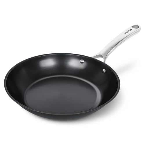 Image of Carbon Steel Frying Pan 12 inch - Pre-Seasoned Carbon Steel Skillet, Lightweight, Natural Non-Stick, Induction Compatible