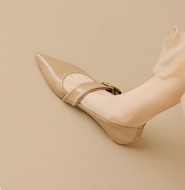 Women's Mary Jane Flats Adjustable Metal Buckle Fashion Pointed Toe Low Heel Flats Comfortable Dress Flats (Khaki,10)4