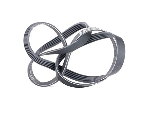 CONTITECH 5PK1765 Cinghia servizi