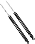 Detroit Axle - Rear Shocks Absorbers Replacement for 2012-2018 Ford Focus (Excludes ST or RS Models) - 2pc Set