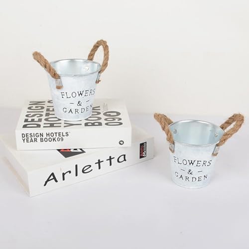 Seaux de fleurs en fer pour plantes succulentes (5 pièces) - 6
