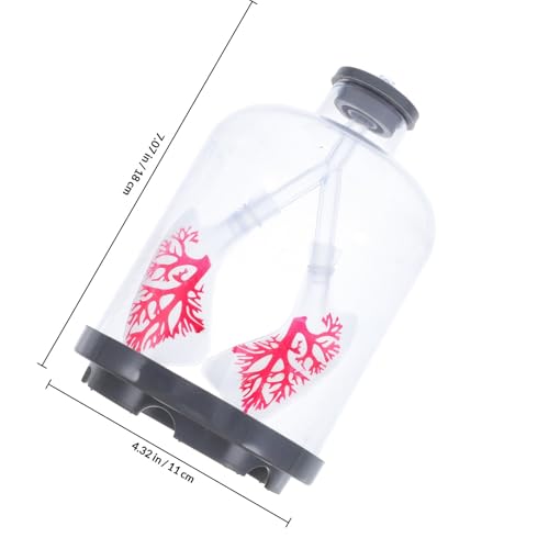 Modèle anatomique de poumon Veemoon simulation mouvement diaphragme expériences collège