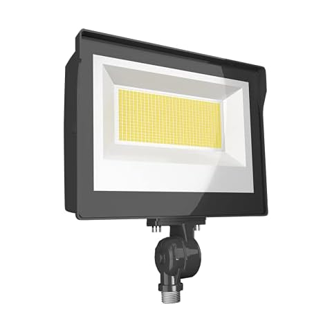 RAB Lighting Flood FA 80W LED 120-277V Cover