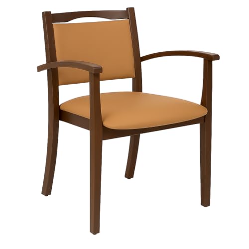 Erides Seniorenstuhl Alexander Rustikal mit Armlehnen – Komfortabler Pflegestuhl – 47cm Sitzhöhe