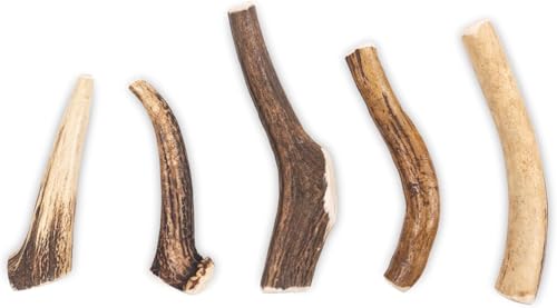 RF-Deer Hundesnack Rothirsch Geweih Kausnack - XXL Hard Plus, Hirschgeweih für Hunde, 100% Natürlicher, Kauspielzeug Hund, Hundespielzeug Kauknochen für Genuss und Zahnpflege - 1 Stück