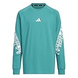 [アディダス] キッズ ワード 長袖 Tシャツ W6496 ピュアティール (KA3786)