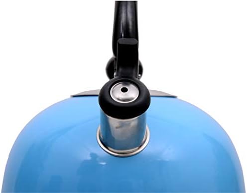 MARK LOUIS Stainless Steel Thin Base Tea/Coffee/Water Kettle for Gas/Induction (Azure, 2.5 liters ), Multicolour