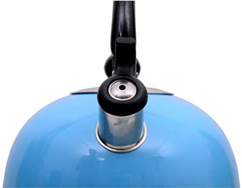 MARK LOUIS Stainless Steel Thin Base Tea/Coffee/Water Kettle for Gas/Induction (Azure, 2.5 liters ), Multicolour