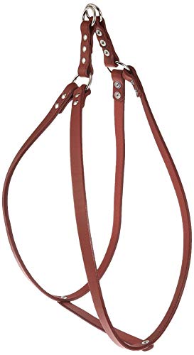 ONS hCc(Ȃ߂)y֓ #95  (^) [n[lX]