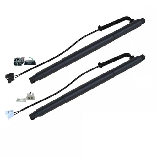 Vérins de hayon électriques pour BMW X6 E71 amortisseurs de levage assistés 51247332697