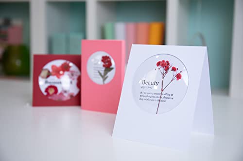 Sizzix Cúpulas de coqueteleira, círculo, 8,9 cm (3 1/2