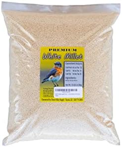 Desert Valley Premium White Millet Proso Seeds - Wild Bird Food, Cardinal, Finches & More (10-Pounds)