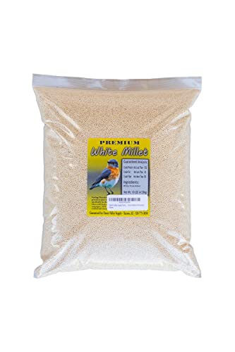 Desert Valley Premium White Millet Proso Seeds - Wild Bird Food, Cardinal, Finches & More (10-Pounds) #TOP27