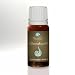 Produktbild Neuston Johanniskrautöl, 10 ml