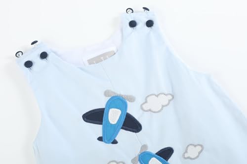 Blue Airplane Pockets Shortalls3