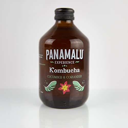 Panamalu Kombucha BIO Cetriolo e Coriandolo (Box