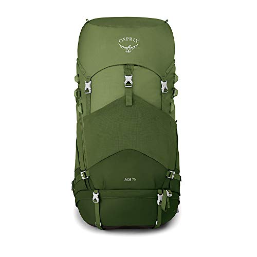 Osprey Ace 75 Kid's Backpacking Backpack, Venture Green