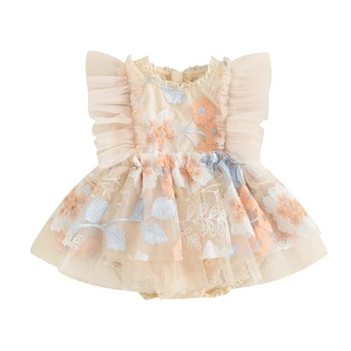 Baby Girl Dresses Infant First Birthday Outfit Summer Tulle Tutu Romper Dress Newborn Photoshoot Fairy Clothes (C Embroidery Floral Beige, 0-6 Months)