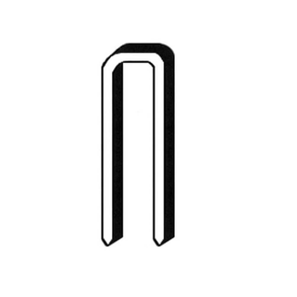 D-Work 10.000 grapas galvanizadas Tb-16-4.95x16x0.84 mm