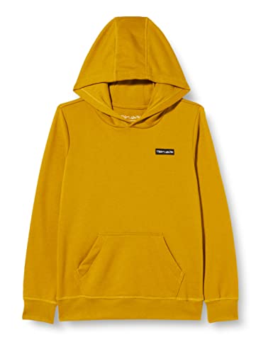 Teddy Smith Garçon S-nark Hoody Jr Sweatshirt, Golden, 12 ans EU