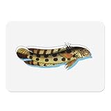 Dimensions généreuses de 38,5 x 28,5 x 2 cm, notre set de table est suffisamment spacieux pour accueillir vos assiettes, verres, couverts.