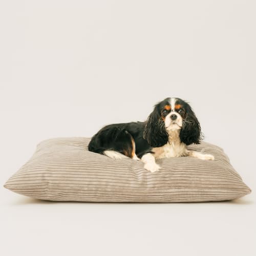 4L Textil Molly Hundekissen Cord Beige Hundebett mittelgroße Hunde mit Bezug und Reißverschluss Hundebett Cord kuscheliges Hundekissen waschbar (80x60 cm, Latte(Stripes))