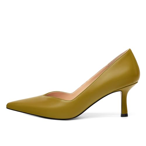 Women's Pumps, Pointed Closed Toe Kitten Heels for Women, Comfortable Mid Heel Women's Dress Shoes 2.5 inch2