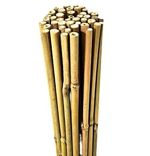 Mylife Bamboo Sticks for All Kinds Plants Support Sticks (Size 03 Feet Hight, Packet of 30 Piece) Yellow (B0993QPQMM) Amazon Price History, Amazon Price Tracker