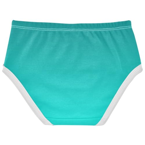 Joisal Cotton Girls Underwear Toddlers Teal Blue Turquoise Gradient Panties for Girl Fancy Undies Kids Briefs 2t2