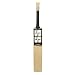 SS Size 4,5,6 English Willow Leather Ball Cricket Bat, Exclusive Cricket Bat for Junior with Full Protection Cover (4, Master 99)