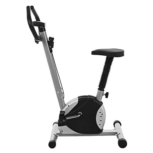 Bicicleta Ergométrica Galera Da Bike Vertical Preta E Cinza