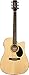 Jasmine JD-36CE Dreadnought Acoustic-Electric Guitar Natural