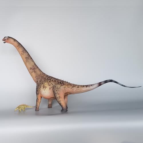 Dinosaure argentin AMITD 1:35 décoration salon et bureau Couleur B - 4