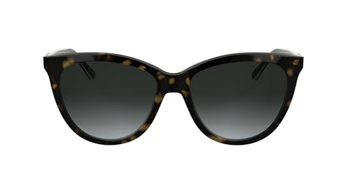 Lunettes Calvin Klein CK25508S Havana, l'excellence des verres gris