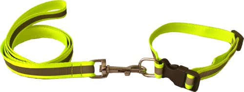 Image of The Pets Company Reflective Leash Collar Set for Medium Dogs, 4 Feet 20 MM, Green