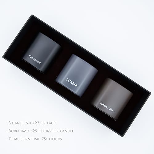 Luxury Scented Candle Gift Set 3-Pack | Champagne, Sandalwood & Amber | Clean Soy Wax | for Women & Men (4.23 oz Each) | 75 Hour Burn Time - Image 3
