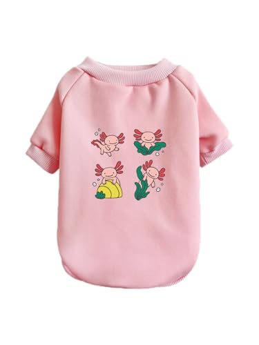  킢 E[p[[p[  ybg hbOEFA ̕ L ybgEFA h _炩 іh~   t@bV U ybgpi