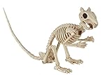 Crazy Bonez Skeleton Squirrel – 7' Halloween Skeleton Animal Decoration with Bendable Tail, Durable All-Weather Plastic, Realistic Bone Detail for Indoor Outdoor Spooky Décor and Garden Displays