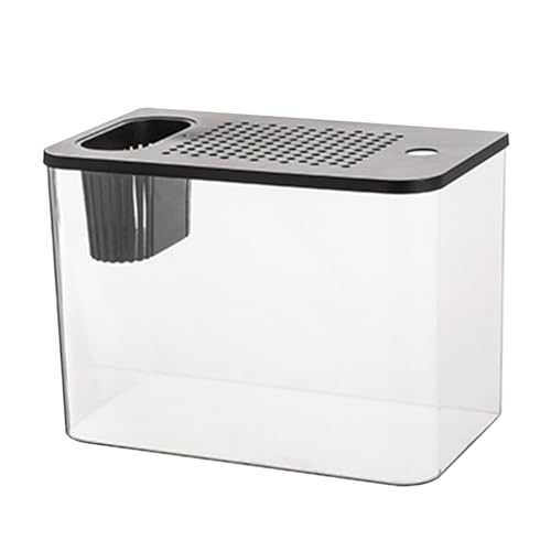 Kit de démarrage pour aquarium compact avec décor d'aménagement paysager complet - 2