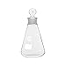 Chemglass CG-1546-07, Erlenmeyer Flask with Size 22 Stopper Top, 125ml Capacity