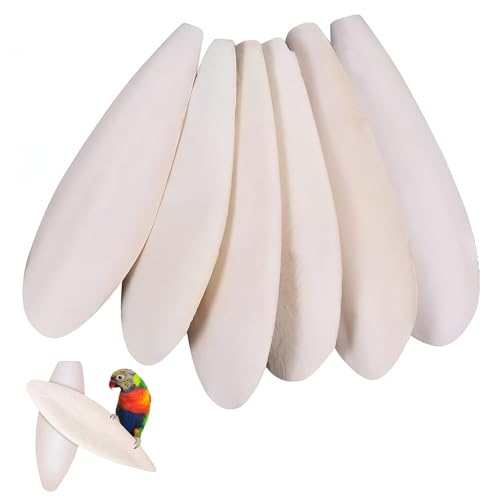 JinRuiCPeng Parrots Chew Toys 6 Pieces Natural Cuttlefish Bone for Birds Reptiles Snails and Tortoises 912cm Chew Toys for Cage Use Encouraging Natural Chewing Behaviour Beak Conditioning.