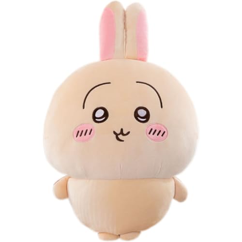UOAO  ʂ  NbV   킢     _炩 lC  l` NX}X ̎q a v[gl` â 蕨 CeA LbYp[eB[pi 50cm