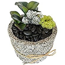 FAYMON FAYMON Black Decorative Pebbles – 950g Natural Polished River Rocks for Plants, Aquarium Gravel, Home Décor, Vase Fillers, Landscaping & Crafts (Black, 950g) 4