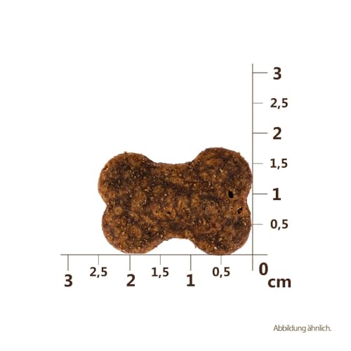 Carnilove Crunchy Snack Ostrich with Blackberries | 3er Pack | 3 x 200 g | Snack mit Strauß und Brombeere für Hunde | Brombeere als natürliche Quelle von Antioxidantien