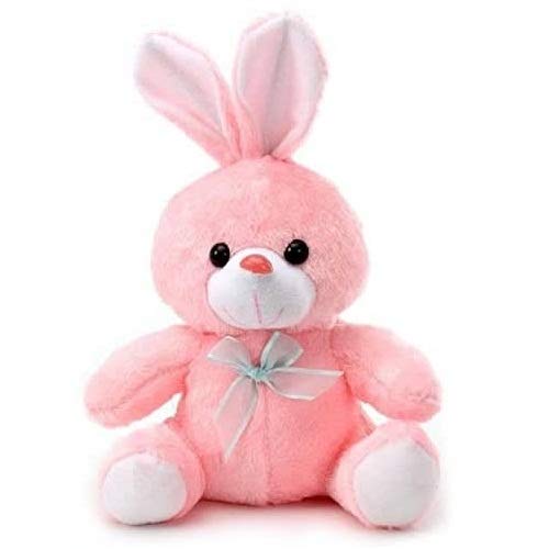 Shivay International - Pink Sitting Rabbit Teddy Bear for Kids , Adults , Birthday Gift & eve etc. 28 cm (B08CDLXH5S) Amazon Price History, Amazon Price Tracker