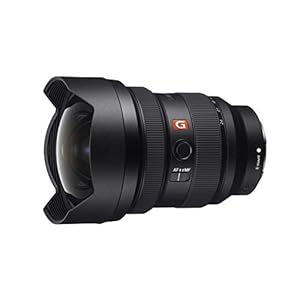 Sony SEL1224GM – Objetivo Ultra Gran Angular (12-24 mm, F2.8, Formato Completo, Compatible con Las Series A9 y A7, E-Mount, Premium) color negro