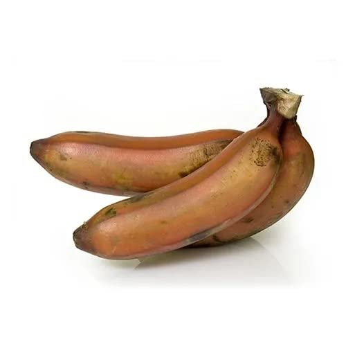 Fresh Banana, Red, 500g